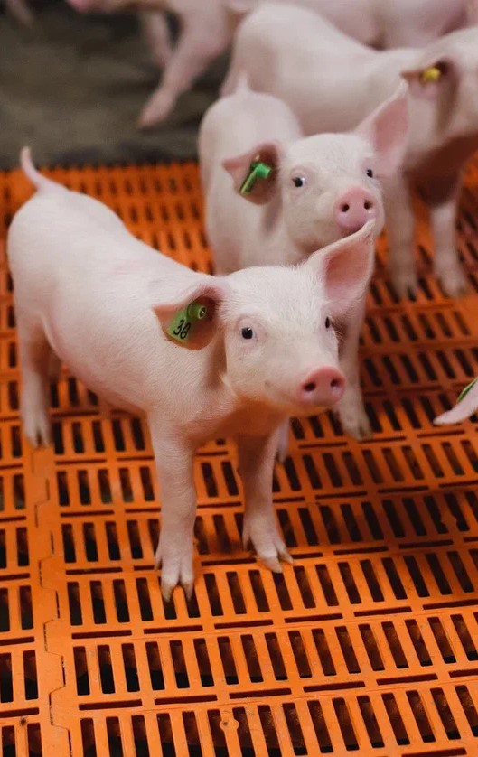 Финансовые результаты