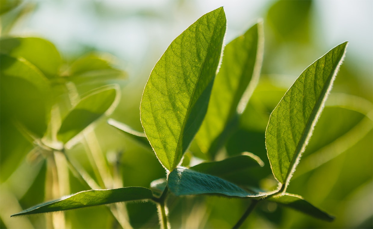 Охрана окружающей среды