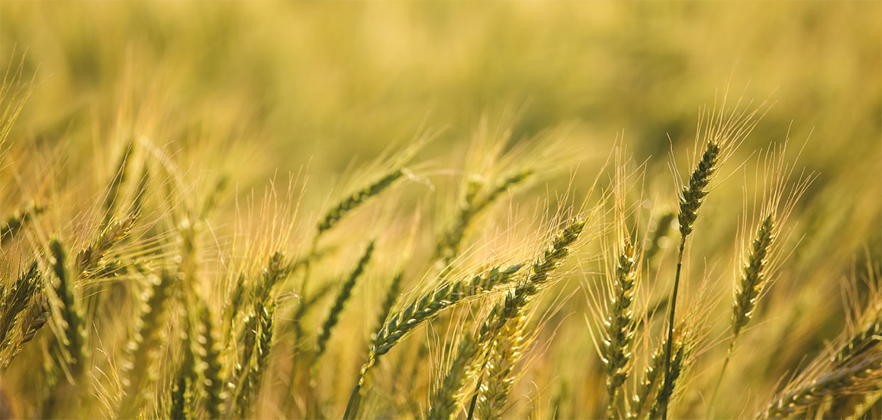 Управление экологическими рисками