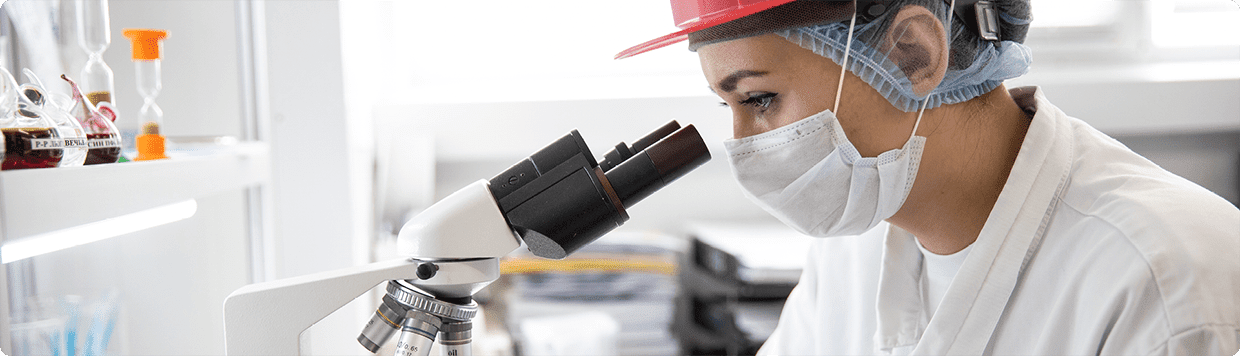 Разработки и исследования в 2024 году