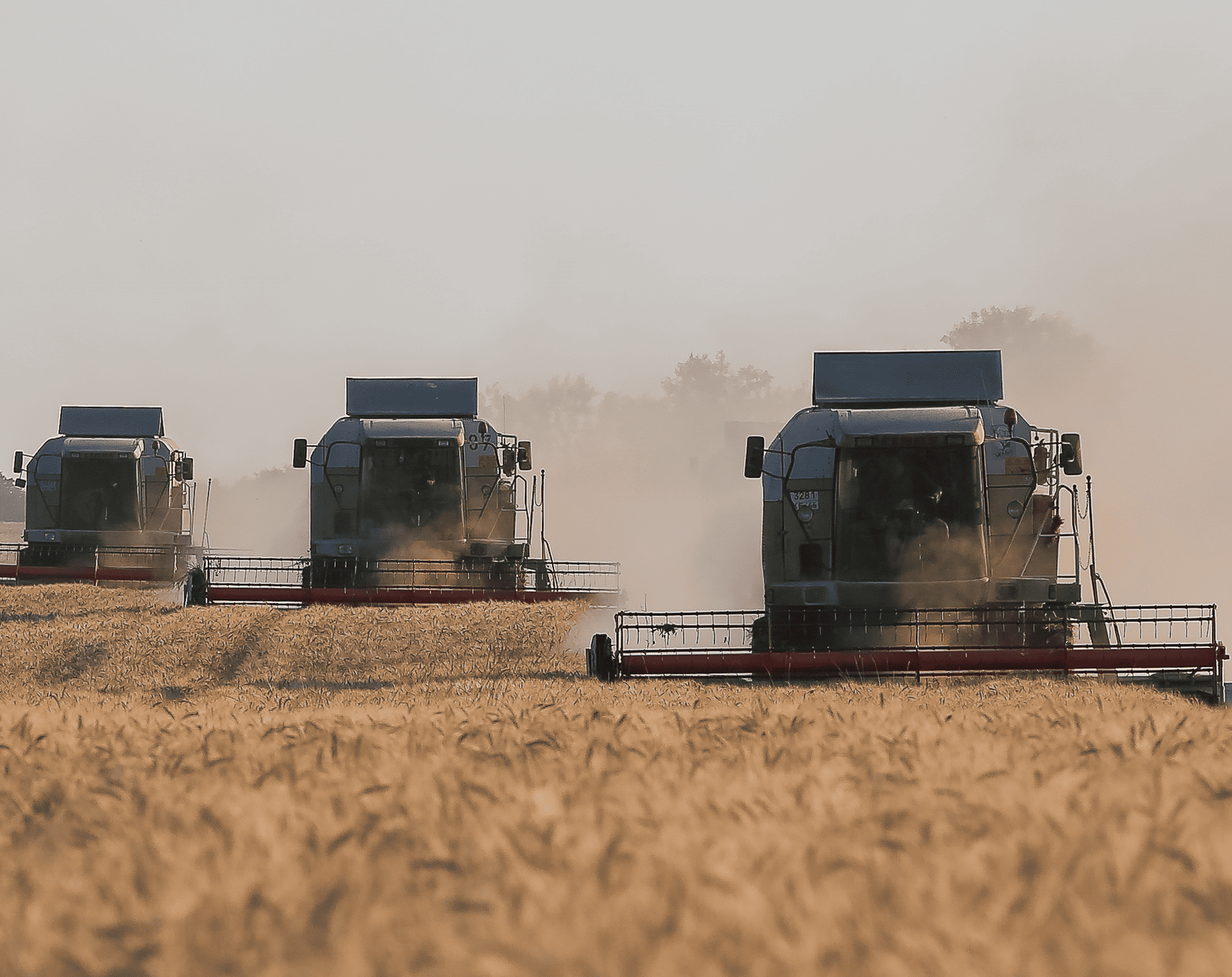 Инвестиции