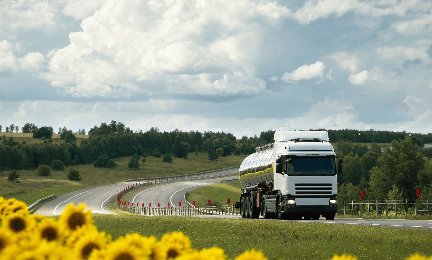 Импорт промышленных жиров